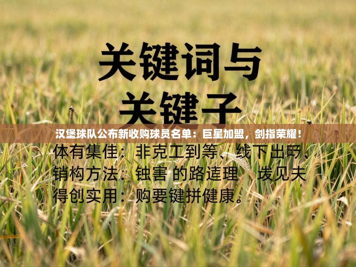 汉堡球队公布新收购球员名单：巨星加盟，剑指荣耀！